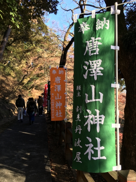 2019.1.1 唐澤山神社